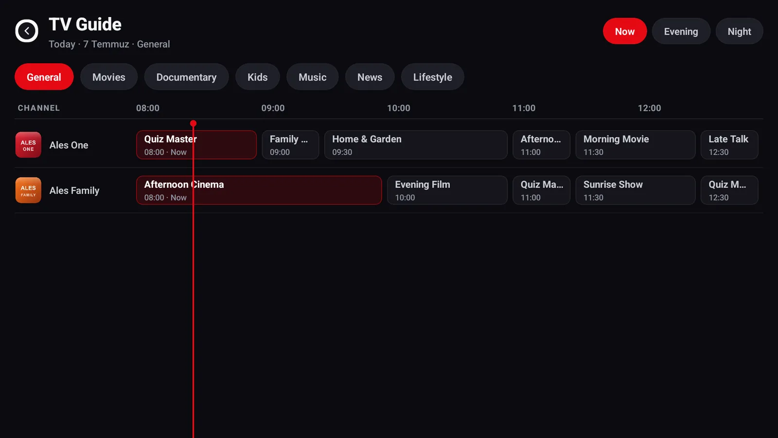 Tam program rehberi (EPG)