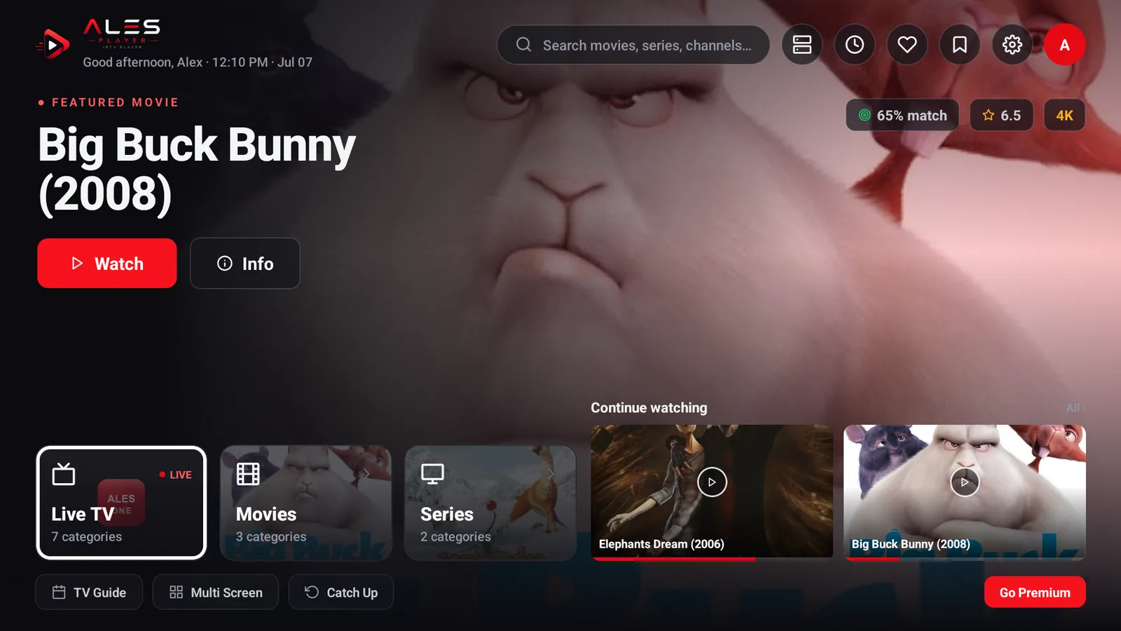 Android TV / Google TV